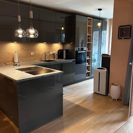 Savec Apartment Munich